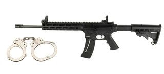 .22 LR AR-15 rifle with M-LOK handguard.